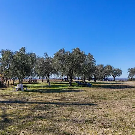Apartment Garda Country House By Wonderful Italy Lonato